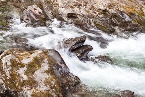 WestProngLittleRiver13012304