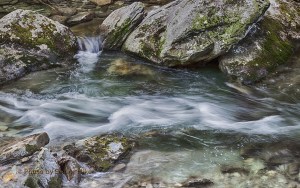 WestProngLittleRiver13012306