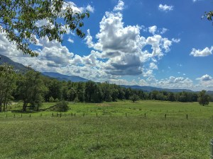cadescove16081601