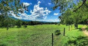 cadescovepanoramabetsy16081601