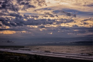 beachmorning16120103
