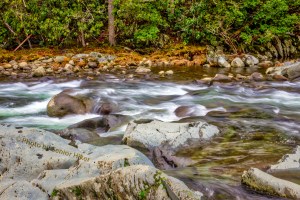 middlepronglittlepigeonriver17011802