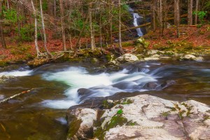 middlepronglittleriver17011701